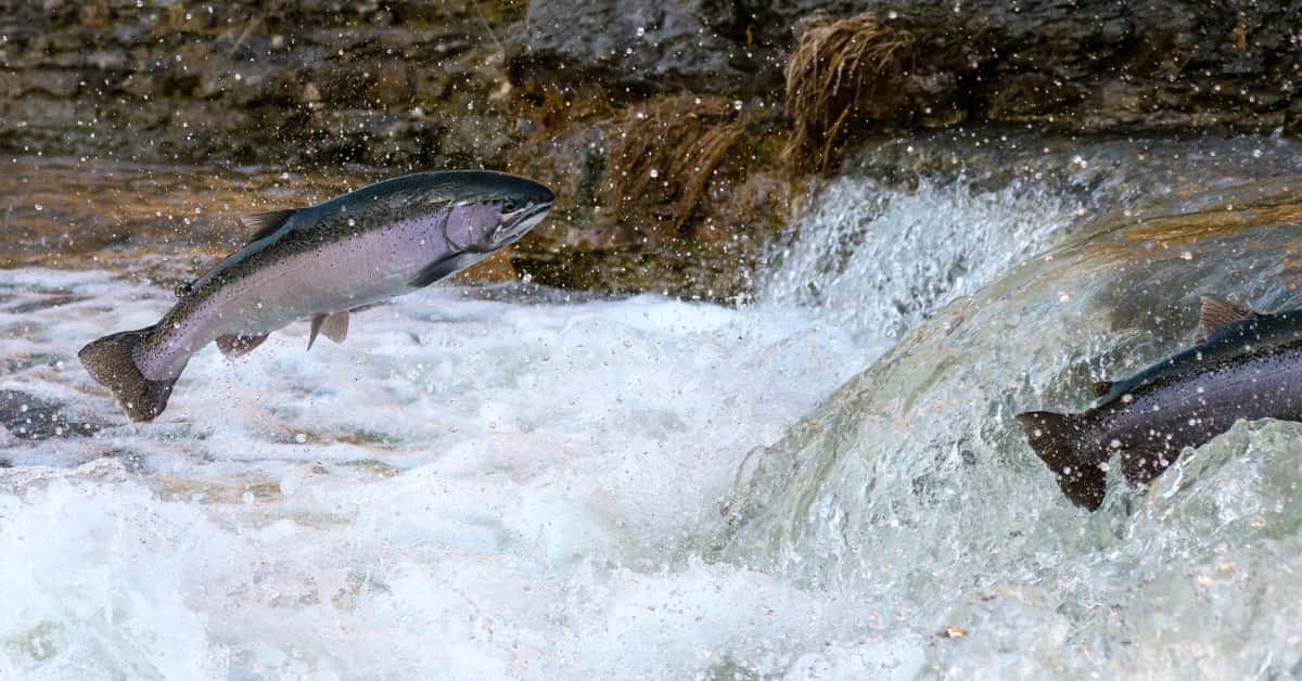 Upstream Feature Management will be the new standard within the metalworking industry